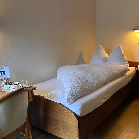 Lodge Du Interlaken