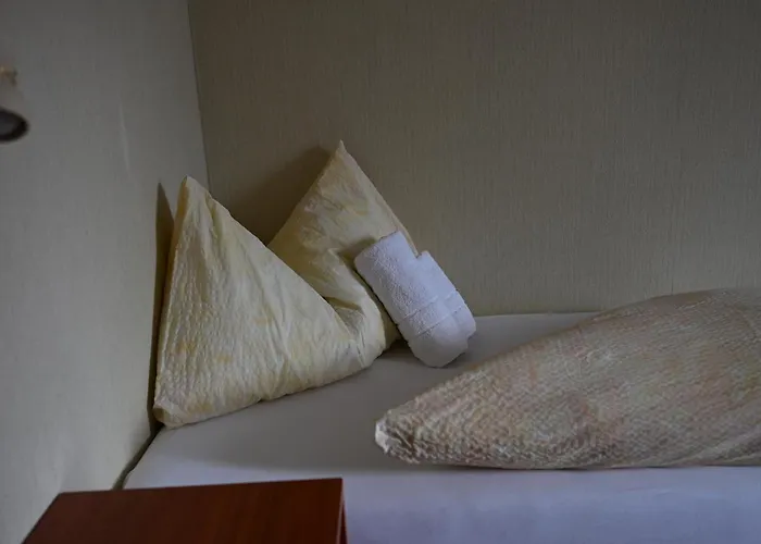 山林小屋 湖泊酒店 因特拉肯